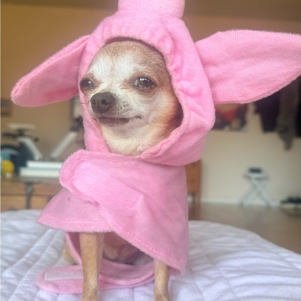 🐷 XS Pink Pig Dog Costume – Plush Hooded Outfit